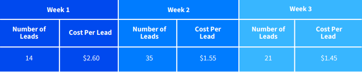 facebook ads case study case 10 table 1