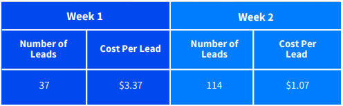 facebook ads case study case 4 table 1